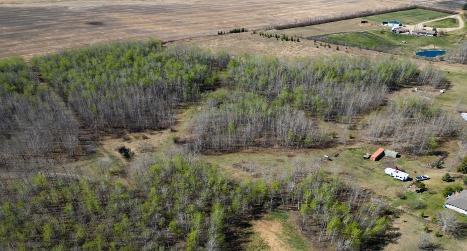 44101 214 Range, Rural Camrose County, Alberta T0B1M0, ,Land,For Sale,214,A2216164