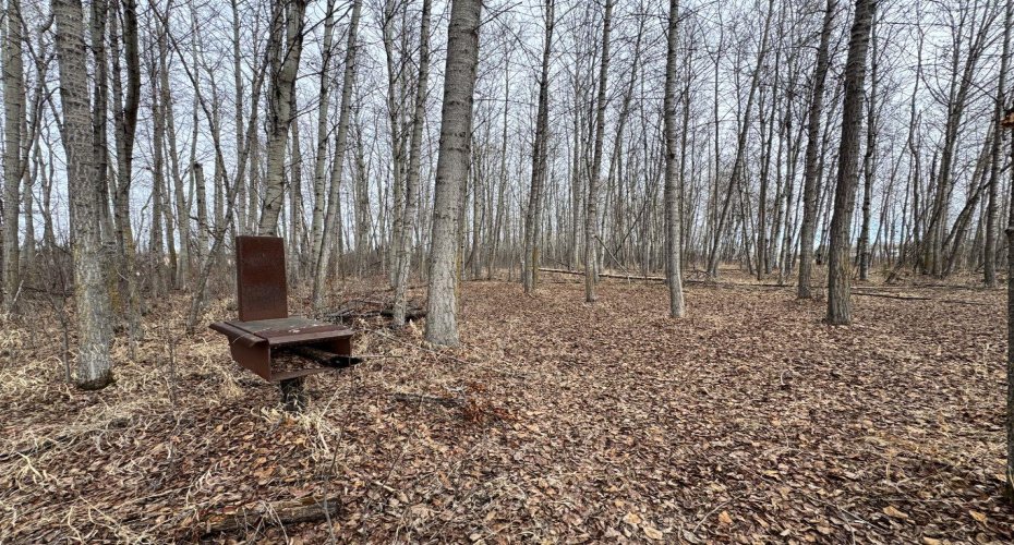 44101 214 Range, Rural Camrose County, Alberta T0B1M0, ,Land,For Sale,214,A2216164