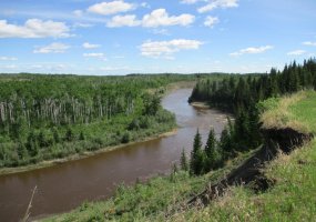 9231001 Twp Rd 920, Rural Northern Lights, County of, Alberta T0H 2M0, ,Land,For Sale,Twp Rd 920,A1115600