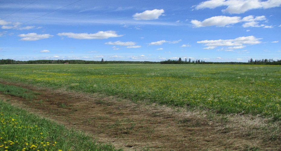 9231001 Twp Rd 920, Rural Northern Lights, County of, Alberta T0H 2M0, ,Land,For Sale,Twp Rd 920,A1115600