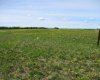9231001 Twp Rd 920, Rural Northern Lights, County of, Alberta T0H 2M0, ,Land,For Sale,Twp Rd 920,A1115600