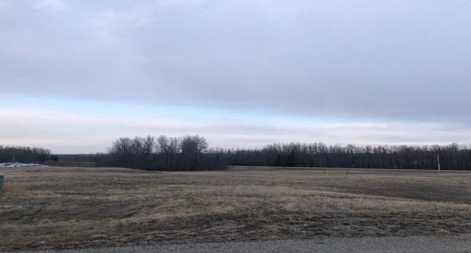 146 Bruhn Boulevard, Rural Ponoka County, Alberta T0C 2J0, ,Land,For Sale,Bruhn,A2216546