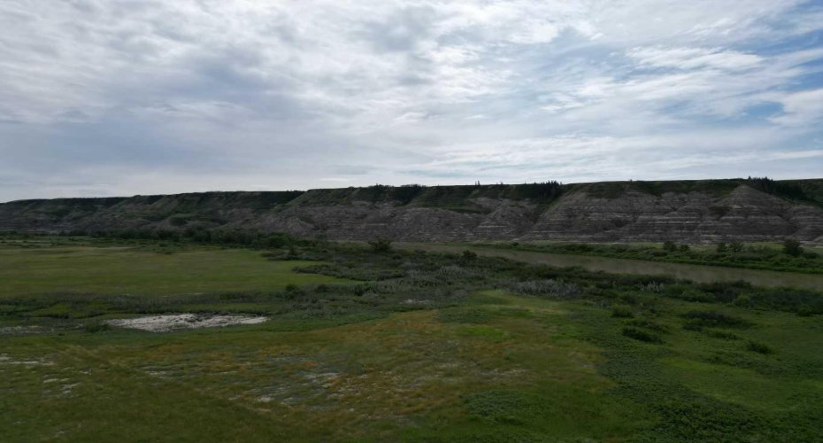 NE-9-30-21-W4 Starland County, Rural Starland County, Alberta T0J0Y0, ,Land,For Sale,Starland County,A2215281