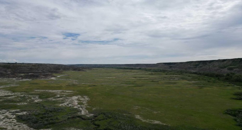 NE-9-30-21-W4 Starland County, Rural Starland County, Alberta T0J0Y0, ,Land,For Sale,Starland County,A2215281