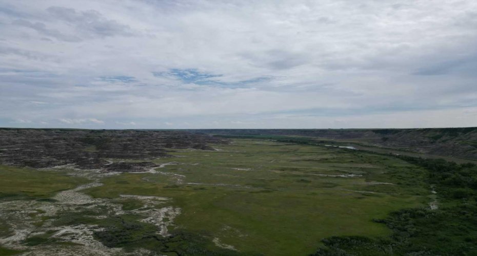 NE-9-30-21-W4 Starland County, Rural Starland County, Alberta T0J0Y0, ,Land,For Sale,Starland County,A2215281
