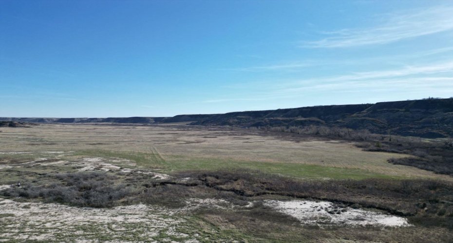 NE-9-30-21-W4 Starland County, Rural Starland County, Alberta T0J0Y0, ,Land,For Sale,Starland County,A2215281