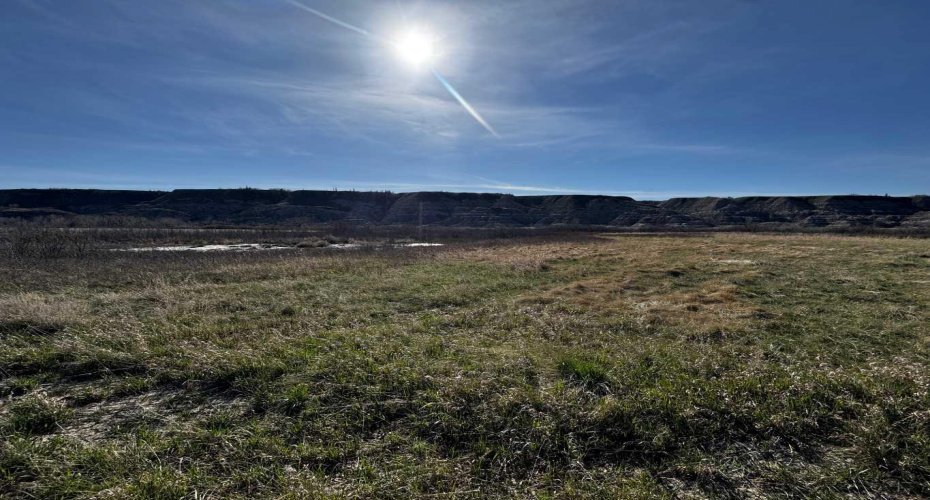 NE-9-30-21-W4 Starland County, Rural Starland County, Alberta T0J0Y0, ,Land,For Sale,Starland County,A2215281