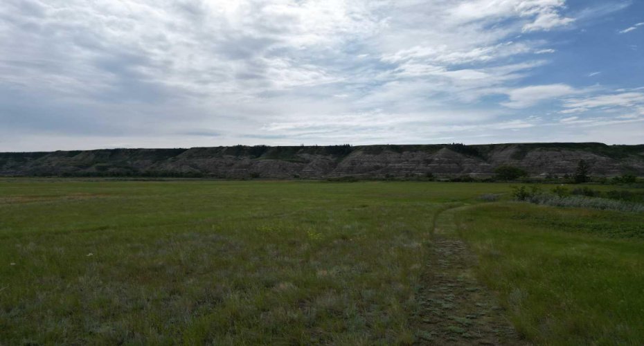 NE-9-30-21-W4 Starland County, Rural Starland County, Alberta T0J0Y0, ,Land,For Sale,Starland County,A2215281