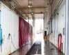 102 Joblin, Hinton, Alberta T7V 1G7, ,Commercial,For Sale,Outback Car & Truck Wash ,Joblin,A2217481
