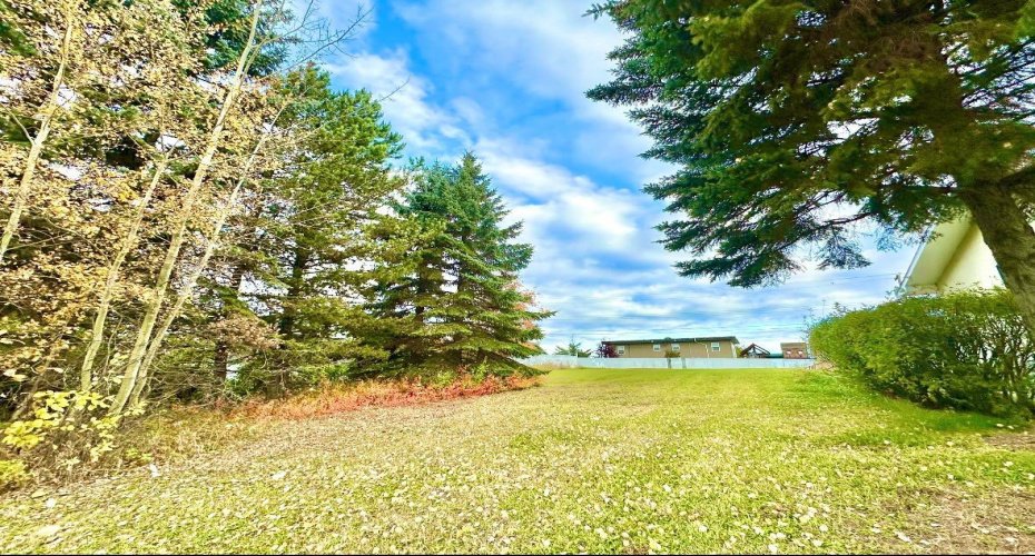 10316 103 Ave, Lac La Biche, Alberta T0A 2C0, ,Land,For Sale,103 Ave,A1207968