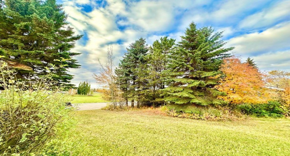 10316 103 Ave, Lac La Biche, Alberta T0A 2C0, ,Land,For Sale,103 Ave,A1207968