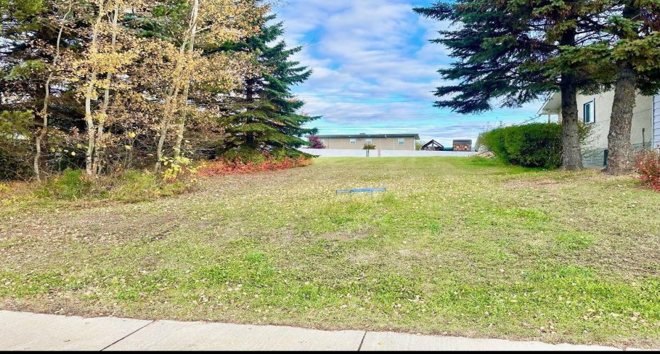 10316 103 Ave, Lac La Biche, Alberta T0A 2C0, ,Land,For Sale,103 Ave,A1207968