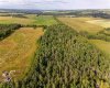 Range Road 44, Rural Mountain View County, Alberta T0M0R0, ,Land,For Sale,Range Road 44,A2217220