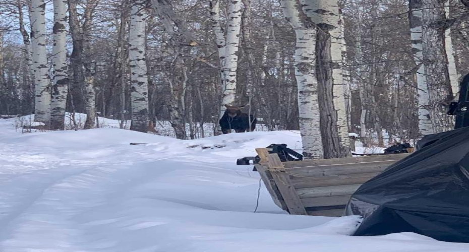 Range Road 44, Rural Mountain View County, Alberta T0M0R0, ,Land,For Sale,Range Road 44,A2217220