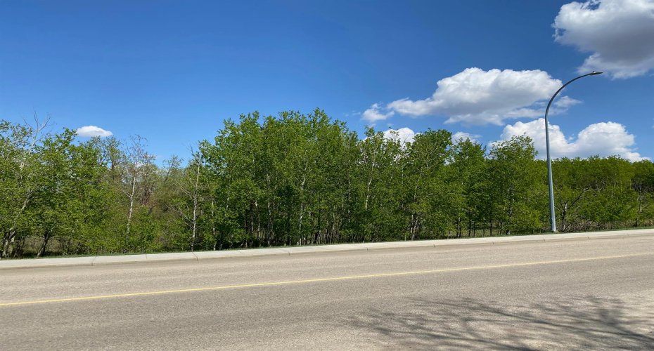 5005 46 Street, Ponoka, Alberta T4J 1C2, ,Land,For Sale,46 Street,A2026785