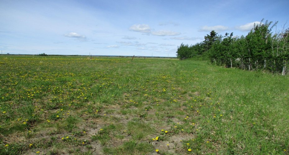 15231004 Twp Rd 920, Rural Northern Lights, County of, Alberta T0H 2M0, ,Land,For Sale,Twp Rd 920,A1115652