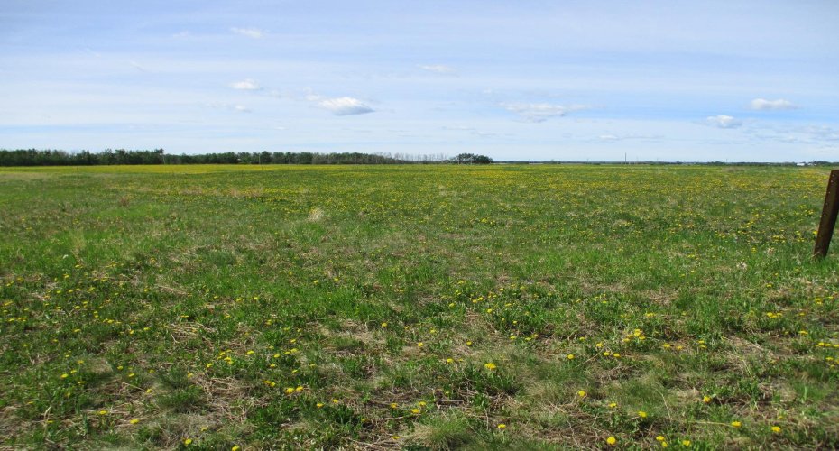 15231004 Twp Rd 920, Rural Northern Lights, County of, Alberta T0H 2M0, ,Land,For Sale,Twp Rd 920,A1115652