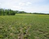 15231004 Twp Rd 920, Rural Northern Lights, County of, Alberta T0H 2M0, ,Land,For Sale,Twp Rd 920,A1115652