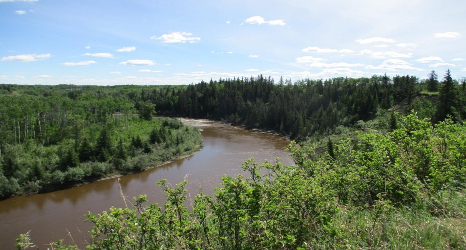 15231004 Twp Rd 920, Rural Northern Lights, County of, Alberta T0H 2M0, ,Land,For Sale,Twp Rd 920,A1115652