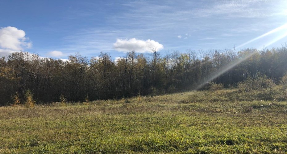 16326 Twp Rd 675, Plamondon, Alberta T0A 2T0, ,Land,For Sale,Twp Rd 675,A2219230