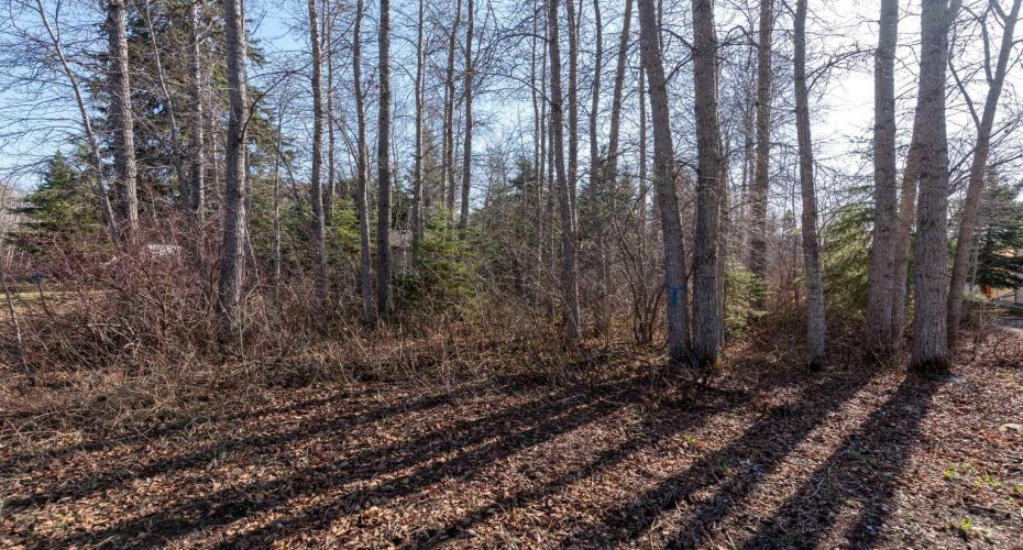916 Brightsand Place, Brightsand Lake, Saskatchewan S0M 2Y0, ,Land,For Sale,Brightsand,A2219248