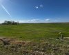 SE-27-28-20-W4, Rural Kneehill County, Alberta T0M 0L0, ,Land,For Sale,SE-27-28-20-W4,A2219698
