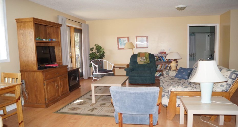 Loft apartment living room