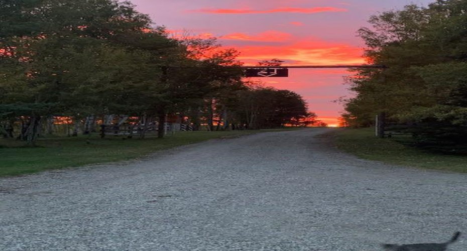 53021A 37-2 Township Road, Rural Clearwater County, Alberta T0M 0M0, ,Agri-business,For Sale,37-2 Township,A2210374