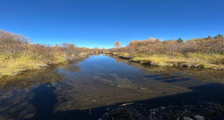 53021A 37-2 Township Road, Rural Clearwater County, Alberta T0M 0M0, ,Agri-business,For Sale,37-2 Township,A2210374