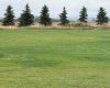 RR 20 294152, Rural Starland County, Alberta T0J 2C0, 5 Bedrooms Bedrooms, ,3 BathroomsBathrooms,Residential,For Sale,294152,A2218565