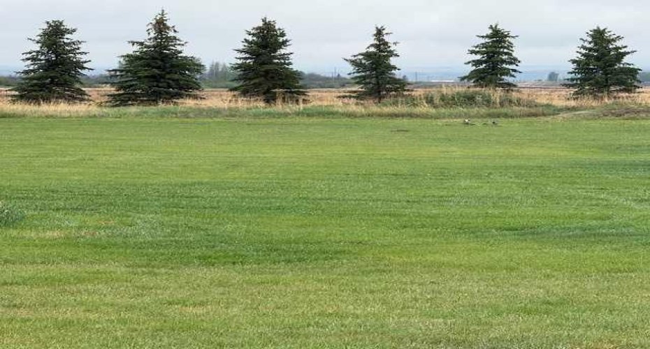 RR 20 294152, Rural Starland County, Alberta T0J 2C0, 5 Bedrooms Bedrooms, ,3 BathroomsBathrooms,Residential,For Sale,294152,A2218565