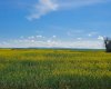RR 20 294152, Rural Starland County, Alberta T0J 2C0, 5 Bedrooms Bedrooms, ,3 BathroomsBathrooms,Residential,For Sale,294152,A2218565