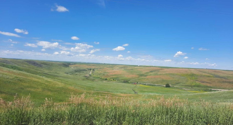 RR 20 294152, Rural Starland County, Alberta T0J 2C0, 5 Bedrooms Bedrooms, ,3 BathroomsBathrooms,Residential,For Sale,294152,A2218565