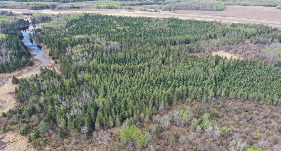 694041 Hwy 63, Breynat, Alberta T0A 0E0, 2 Bedrooms Bedrooms, ,1 BathroomBathrooms,Residential,For Sale,Hwy 63,A2220348