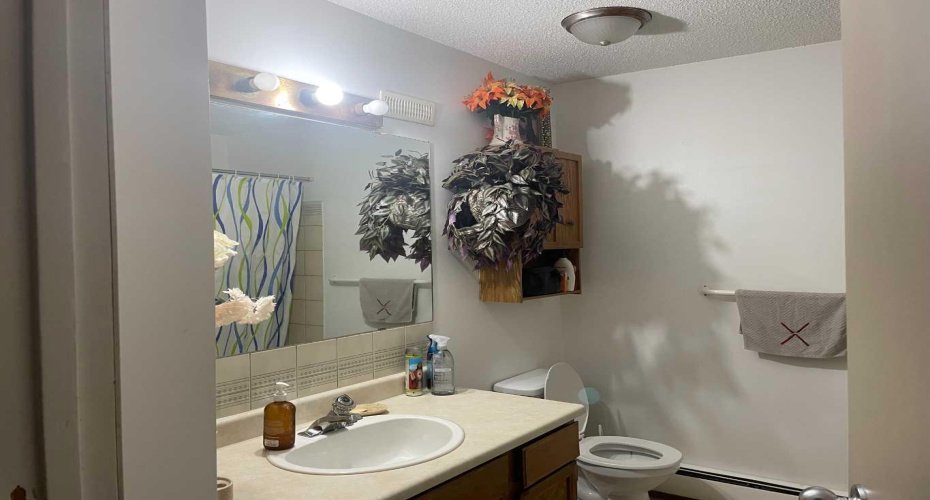 11500 112 Ave., Fairview, Alberta T0H 1L0, 3 Bedrooms Bedrooms, ,2 BathroomsBathrooms,Residential,For Sale,112 Ave.,A2216443