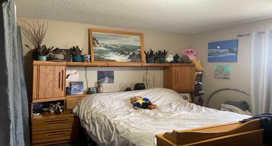 11500 112 Ave., Fairview, Alberta T0H 1L0, 3 Bedrooms Bedrooms, ,2 BathroomsBathrooms,Residential,For Sale,112 Ave.,A2216443