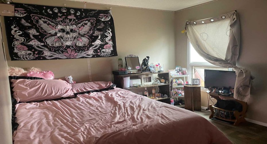 11500 112 Ave., Fairview, Alberta T0H 1L0, 3 Bedrooms Bedrooms, ,2 BathroomsBathrooms,Residential,For Sale,112 Ave.,A2216443