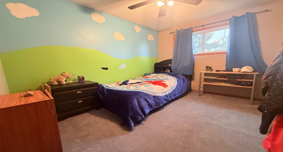 5319 55 Avenue, Viking, Alberta T0B 4N0, 3 Bedrooms Bedrooms, ,2 BathroomsBathrooms,Residential,For Sale,55,A2221528