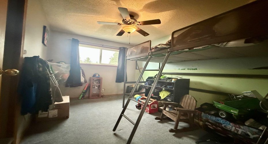 5319 55 Avenue, Viking, Alberta T0B 4N0, 3 Bedrooms Bedrooms, ,2 BathroomsBathrooms,Residential,For Sale,55,A2221528