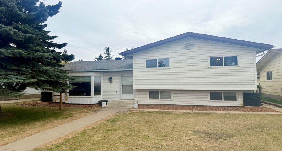 5319 55 Avenue, Viking, Alberta T0B 4N0, 3 Bedrooms Bedrooms, ,2 BathroomsBathrooms,Residential,For Sale,55,A2221528
