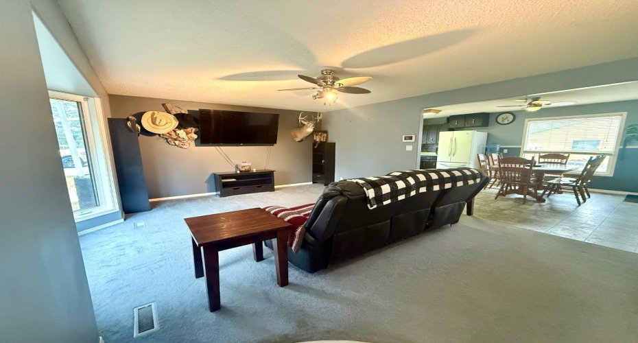 5319 55 Avenue, Viking, Alberta T0B 4N0, 3 Bedrooms Bedrooms, ,2 BathroomsBathrooms,Residential,For Sale,55,A2221528