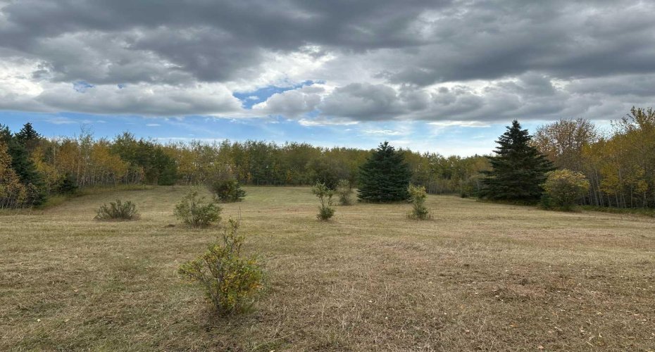 61015 Range Road 174, Rural Smoky Lake County, Alberta T0A 3C0, ,Land,For Sale,Range Road 174,A2222014