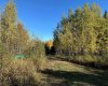 61015 Range Road 174, Rural Smoky Lake County, Alberta T0A 3C0, ,Land,For Sale,Range Road 174,A2222014