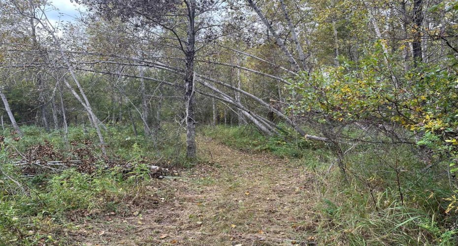 61015 Range Road 174, Rural Smoky Lake County, Alberta T0A 3C0, ,Land,For Sale,Range Road 174,A2222014