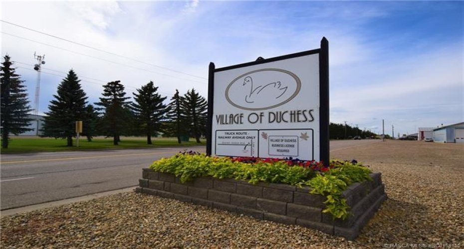 436 Margaret Avenue, Duchess, Alberta T0J 0Z0, ,Land,For Sale,Margaret,SC0158145