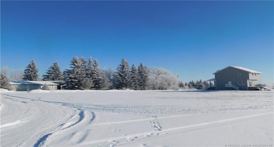 436 Margaret Avenue, Duchess, Alberta T0J 0Z0, ,Land,For Sale,Margaret,SC0158145
