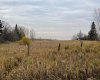 431046 Range Road, Rural Ponoka County, Alberta T4J 1R1, ,Land,For Sale,Range Road,A2221770