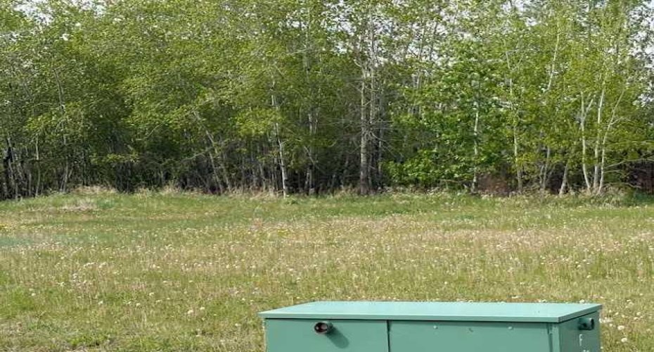 5028 45 Street, Hardisty, Alberta T0B 1V0, ,Land,For Sale,45,A2222453