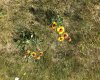 151243 Basin Road, Rural Willow Creek No. 26, M.D. of, Alberta T0L 1R0, ,Land,For Sale,Basin,A1211593