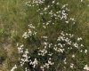 151243 Basin Road, Rural Willow Creek No. 26, M.D. of, Alberta T0L 1R0, ,Land,For Sale,Basin,A1211593